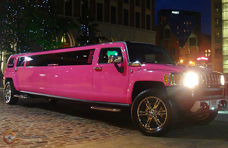 PinkHummer01 1 3